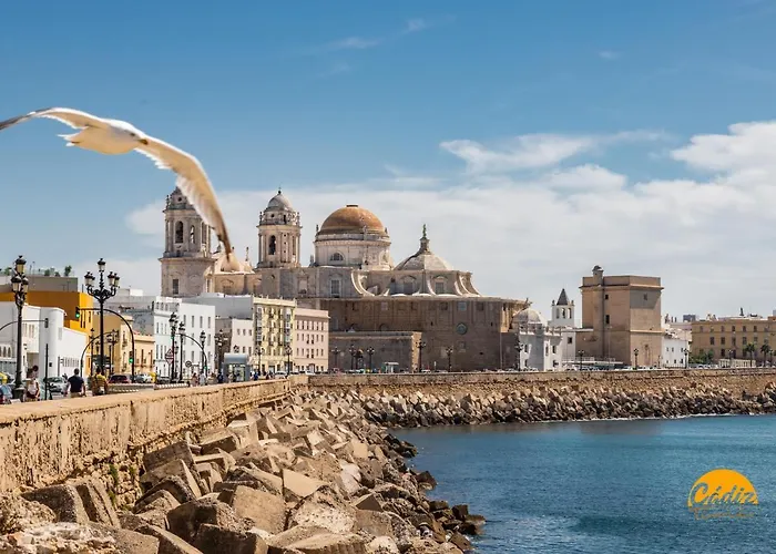 アパート Oceano By Time